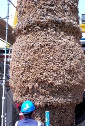 A COMPLETE SOLUTION TO BIOFOULING CONTROL