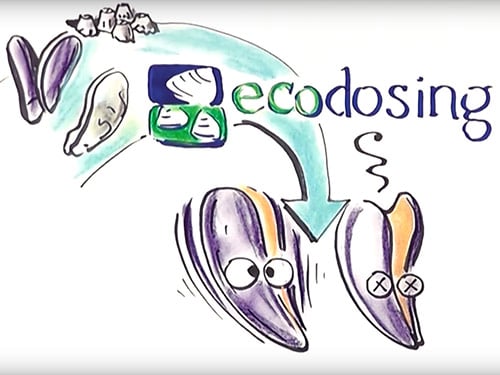 Ecodosing Ecodosing